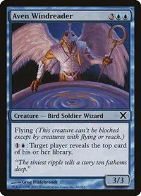 Aven Windreader - Foil