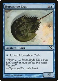 Horseshoe Crab - Foil