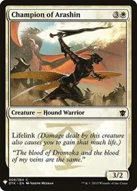 Champion of Arashin - Normal Champion Of Arashin