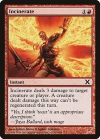 Incinerate - Foil