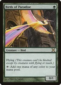Birds of Paradise - Foil