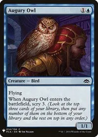 Augury Owl - Normal Augury Owl