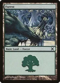 Forest - Foil
