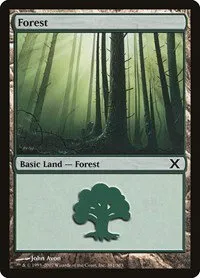 Forest - Foil