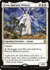 Evra, Halcyon Witness - Normal Evra Halcyon Witness