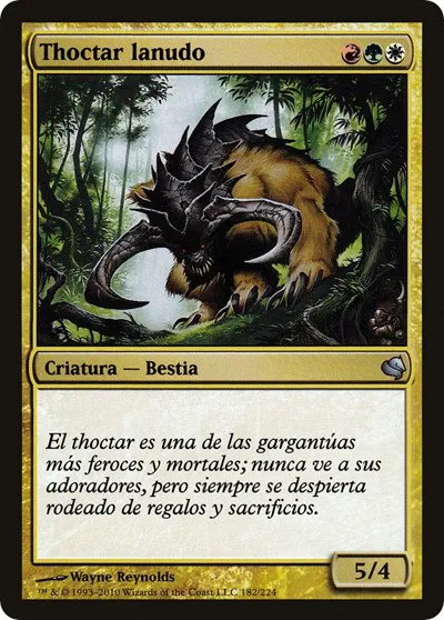 Woolly Thoctar (Spanish) - "Thoctar lanudo"