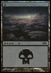 Swamp - Foil Swamp 58237