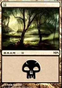Swamp - Foil Swamp 80286
