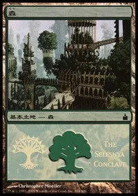 Forest