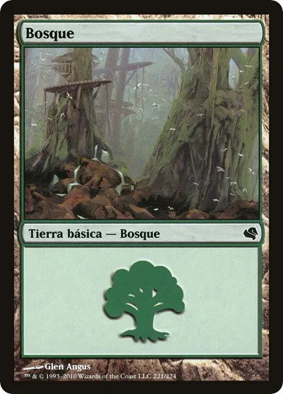 Forest (Spanish) - "Bosque"
