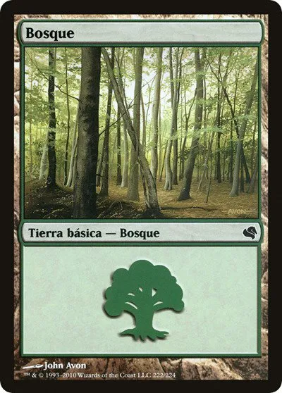 Forest (Spanish) - "Bosque"