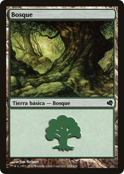 Forest (Spanish) - "Bosque"