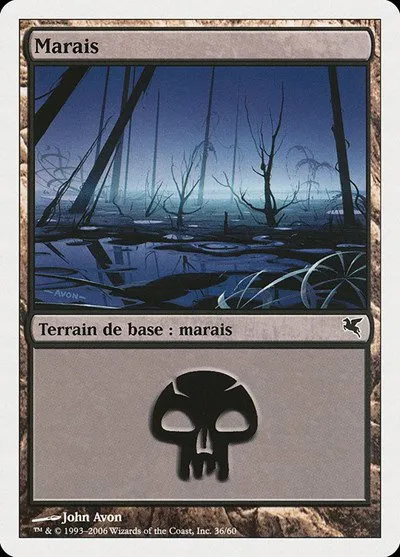Swamp (French) - "Marais" - French