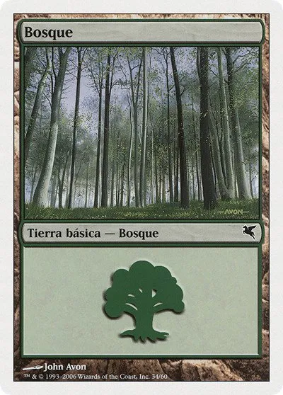 Forest (Spanish) - "Bosque" - Spanish