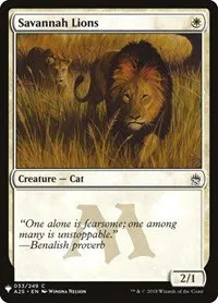 Savannah Lions - Normal Savannah Lions