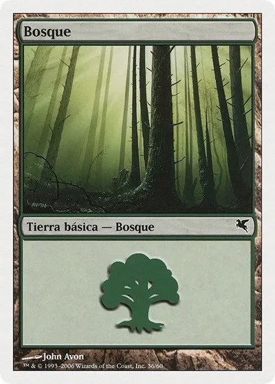Forest (Spanish) - "Bosque" - Spanish