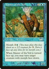 Master of the Veil - Foil