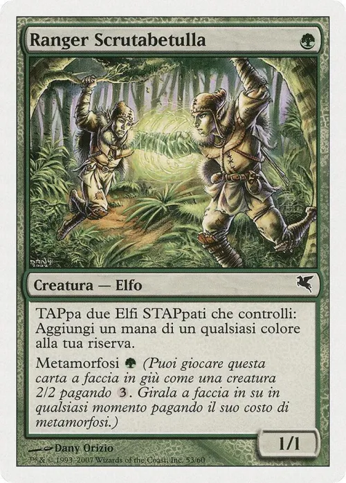Birchlore Rangers (Italian) - "Ranger Scrutabetulla" - Italian