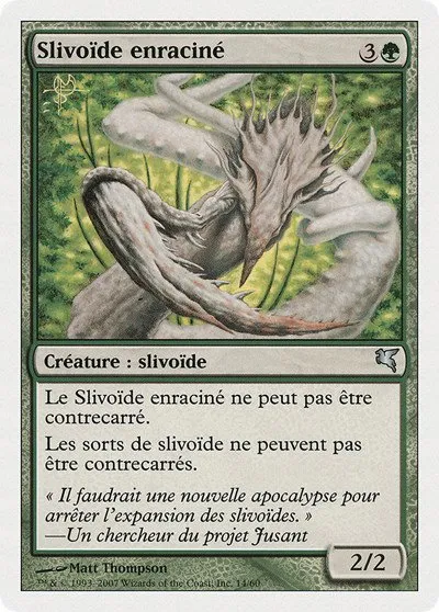 Root Sliver (French) - "Slivoïde enraciné" - French