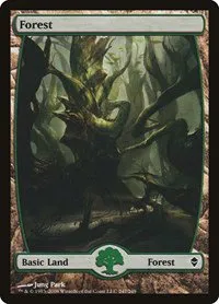 Forest (247) - Full Art - Foil