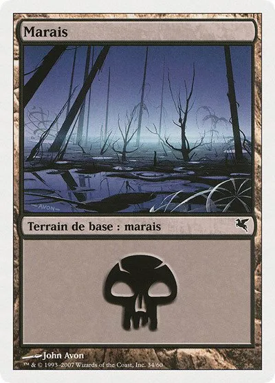 Swamp (French) - "Marais" - French