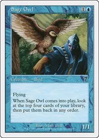 Sage Owl - Foil
