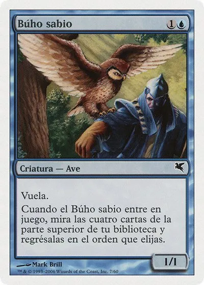 Sage Owl (Spanish) - "Búho sabio" - Spanish