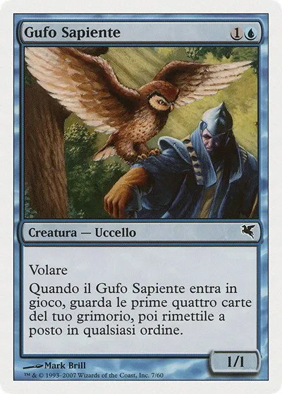 Sage Owl (Italian) - "Gufo Sapiente" - Italian