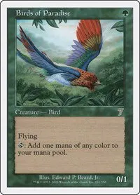 Birds of Paradise - Foil