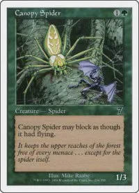 Canopy Spider - Foil