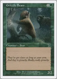 Grizzly Bears - Foil