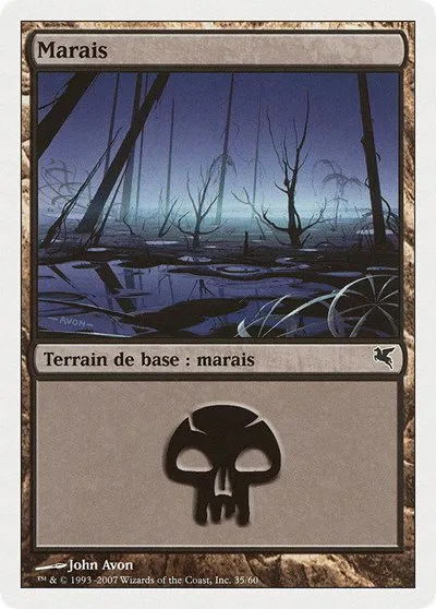 Swamp (French) - "Marais" - French