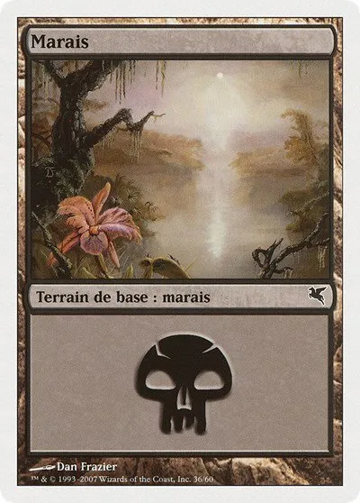 Swamp (French) - "Marais" - French