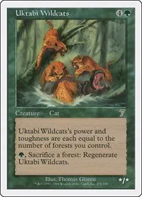 Uktabi Wildcats - Foil