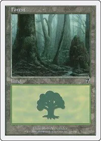 Forest - Foil