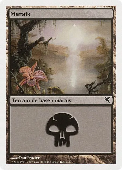 Swamp (French) - "Marais" - French