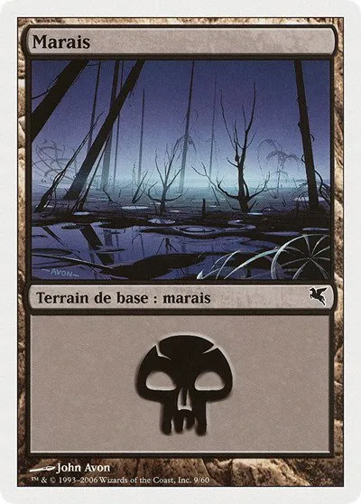 Swamp (French) - "Marais" - French