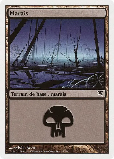 Swamp (French) - "Marais" - French