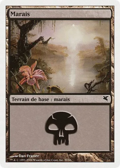 Swamp (French) - "Marais" - French