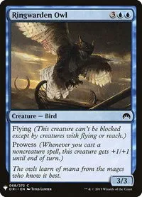 Ringwarden Owl - Normal Ringwarden Owl