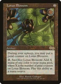 Lotus Blossom