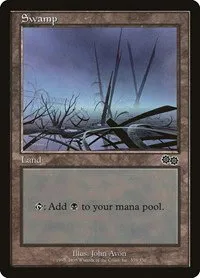Swamp