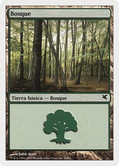 Forest (Spanish) - "Bosque" - Spanish