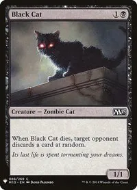 Black Cat - Normal Black Cat