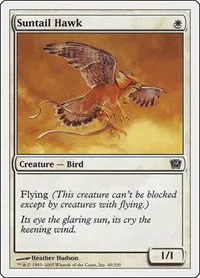 Suntail Hawk - Foil