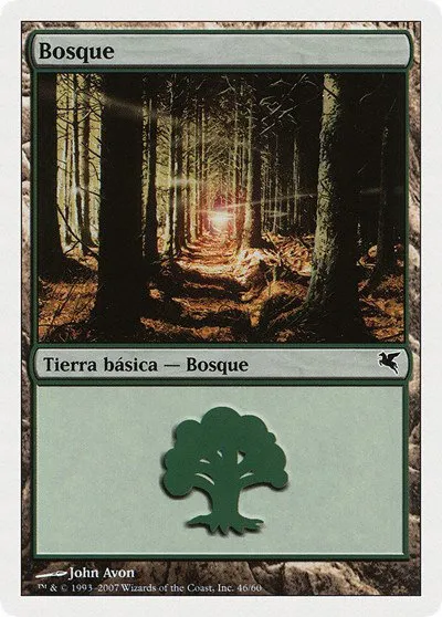 Forest (Spanish) - "Bosque" - Spanish