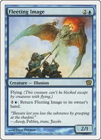 Fleeting Image - Foil