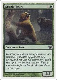 Grizzly Bears - Foil