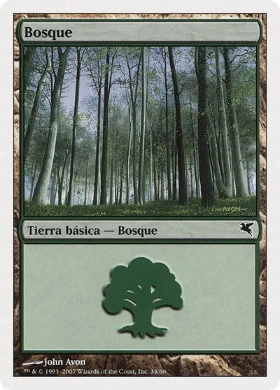Forest (Spanish) - "Bosque" - Spanish