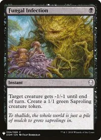 Fungal Infection - Normal Fungal Infection